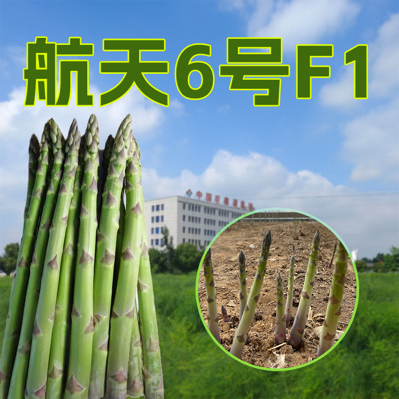 航天6号F1