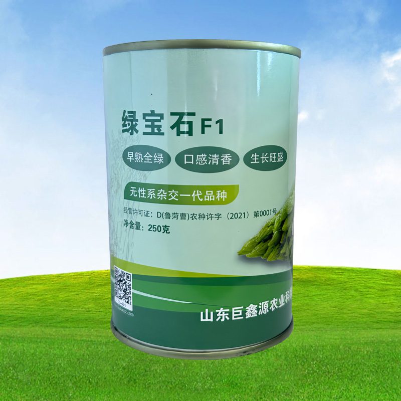 绿宝石F1芦笋种子