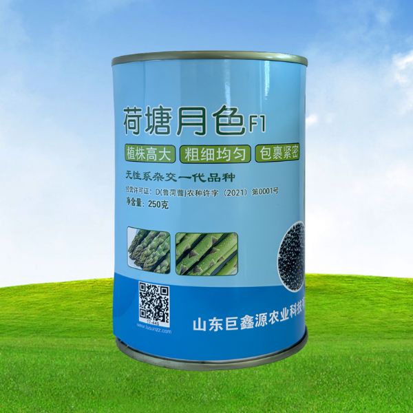 荷塘月色F1芦笋种子