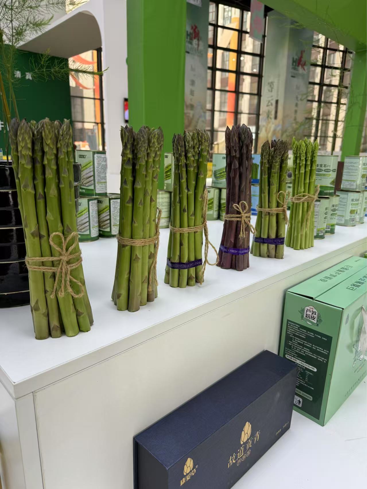 巨鑫源公司在e裳小镇芦笋展览